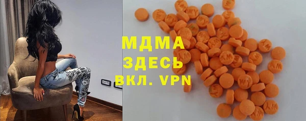 гашик Алексин