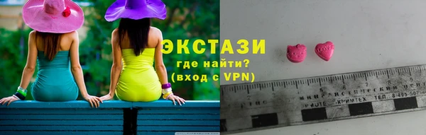 гашик Алексин