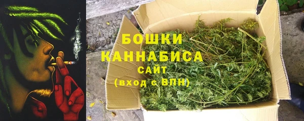 гашик Алексин