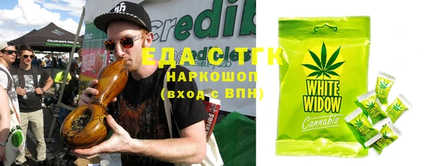гашик Алексин