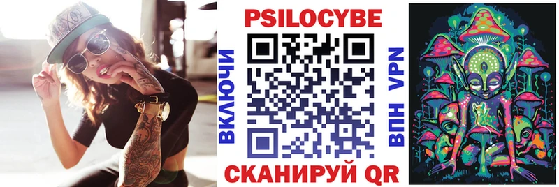 даркнет наркотические препараты  KRAKEN ССЫЛКА  Псилоцибиновые грибы Psilocybe  Тара  наркотики 
